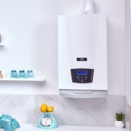 Eideris.34 – THPE - Image 2