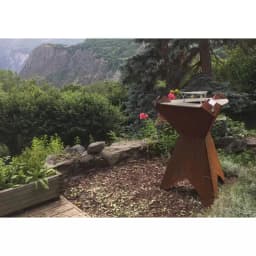 Plancha ORIGINE – FINOPTIM - Image 4